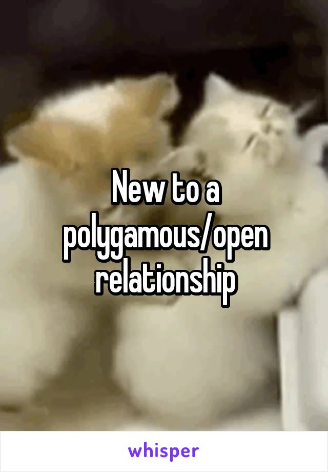 New to a polygamous/open relationship