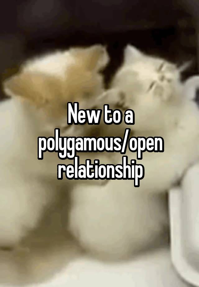 New to a polygamous/open relationship