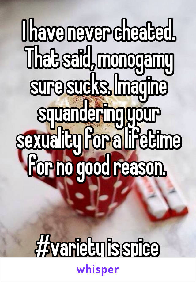 I have never cheated. That said, monogamy sure sucks. Imagine squandering your sexuality for a lifetime for no good reason. 


#variety is spice 