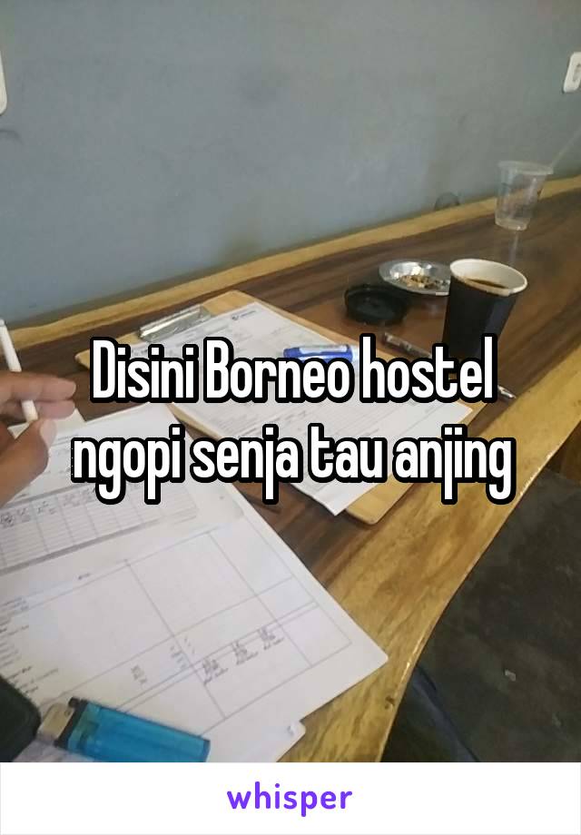 Disini Borneo hostel ngopi senja tau anjing