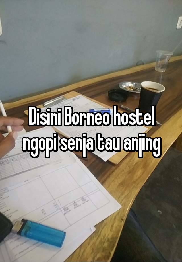 Disini Borneo hostel ngopi senja tau anjing