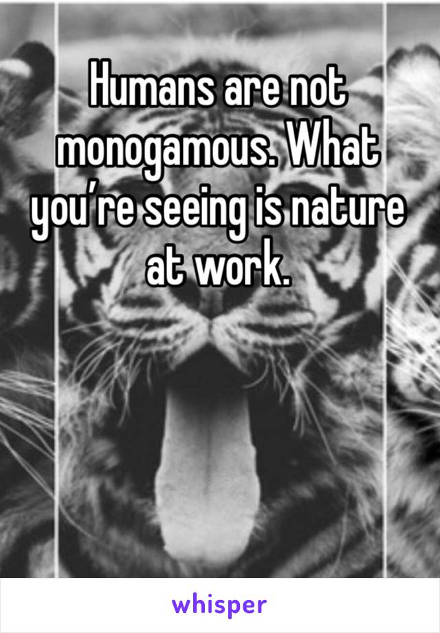 Humans are not monogamous. What you’re seeing is nature at work. 