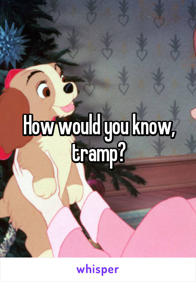 How would you know, tramp?