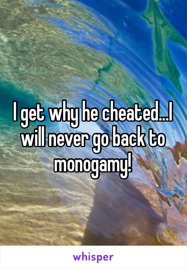 I get why he cheated…I will never go back to monogamy! 