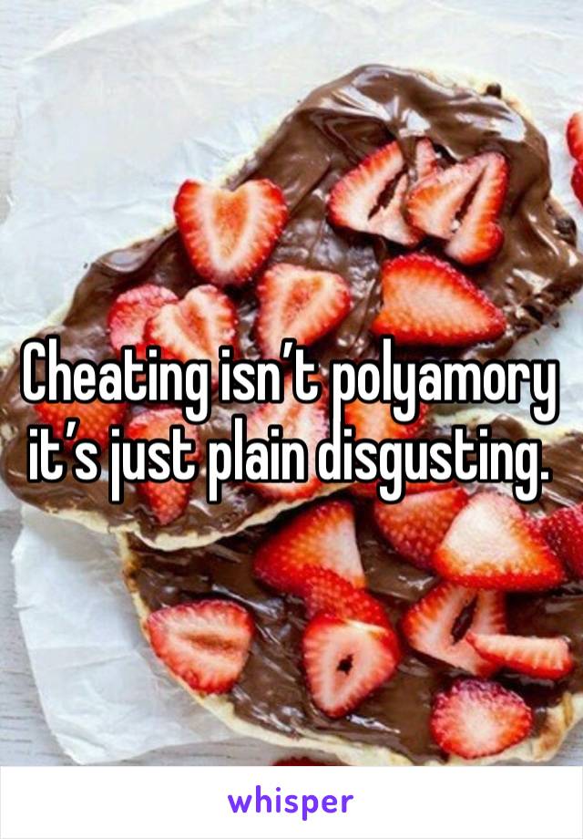 Cheating isn’t polyamory it’s just plain disgusting. 