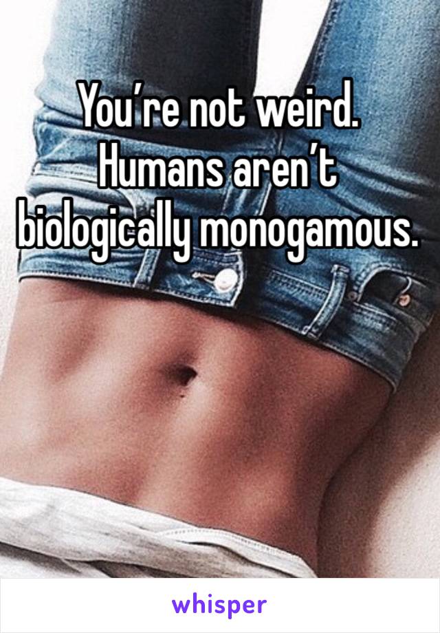 You’re not weird. Humans aren’t biologically monogamous. 