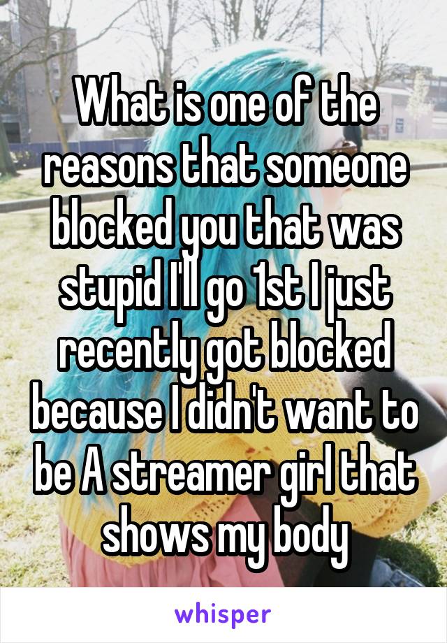 What is one of the reasons that someone blocked you that was stupid I'll go 1st I just recently got blocked because I didn't want to be A streamer girl that shows my body