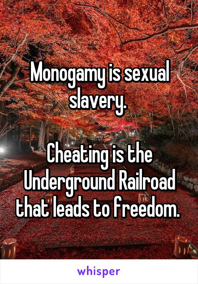 Monogamy is sexual slavery. 

Cheating is the Underground Railroad that leads to freedom. 