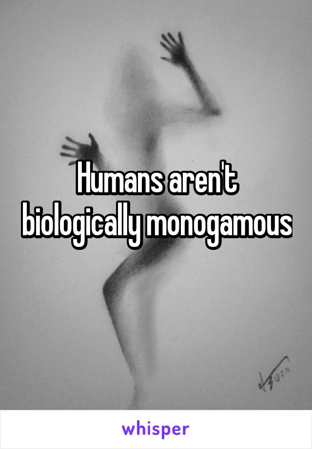 Humans aren't biologically monogamous 