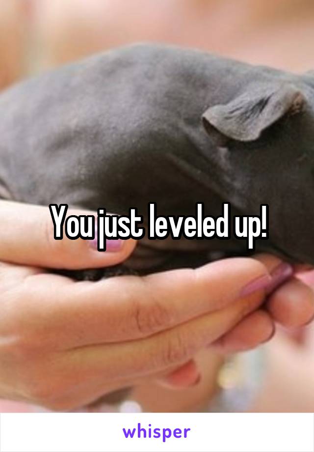 You just leveled up!