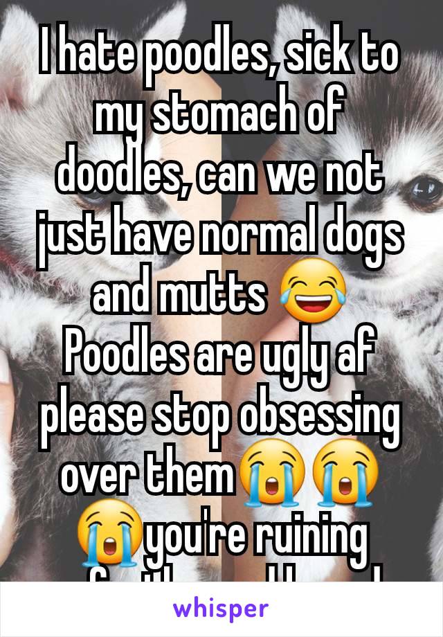 I hate poodles, sick to my stomach of doodles, can we not just have normal dogs and mutts 😂
Poodles are ugly af please stop obsessing over them😭😭😭you're ruining perfectly good breeds 