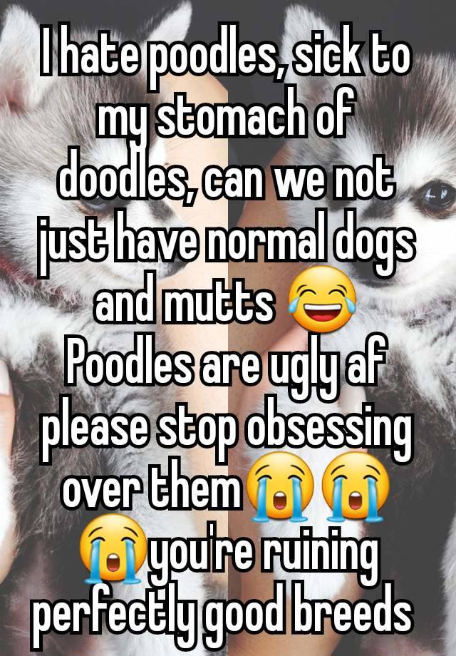 I hate poodles, sick to my stomach of doodles, can we not just have normal dogs and mutts 😂
Poodles are ugly af please stop obsessing over them😭😭😭you're ruining perfectly good breeds 