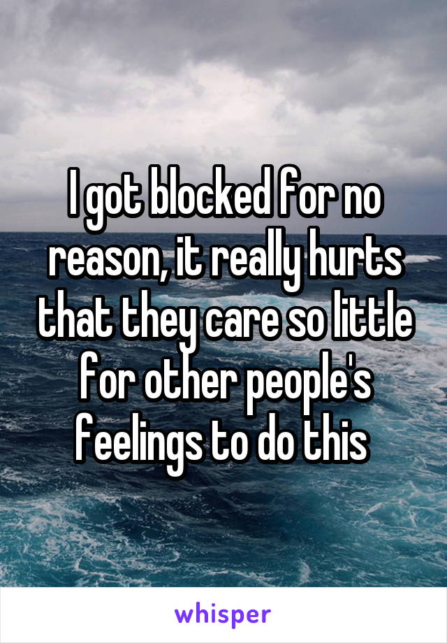 I got blocked for no reason, it really hurts that they care so little for other people's feelings to do this 