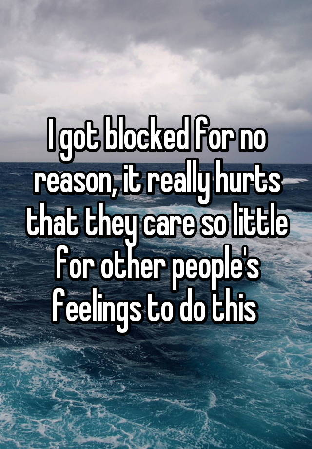 I got blocked for no reason, it really hurts that they care so little for other people's feelings to do this 