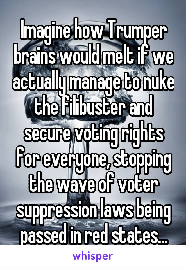 Imagine how Trumper brains would melt if we actually manage to nuke the filibuster and secure voting rights for everyone, stopping the wave of voter suppression laws being passed in red states...