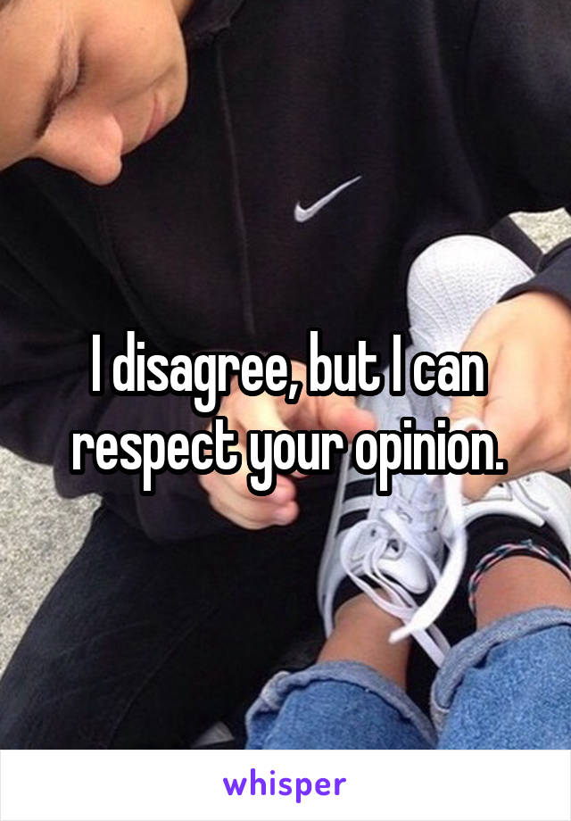 I disagree, but I can respect your opinion.