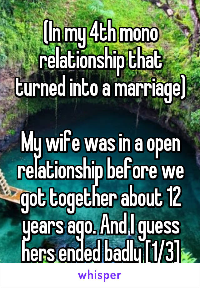 (In my 4th mono relationship that turned into a marriage)

My wife was in a open relationship before we got together about 12 years ago. And I guess hers ended badly [1/3]