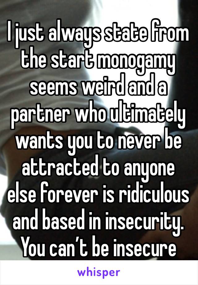 I just always state from the start monogamy seems weird and a partner who ultimately wants you to never be attracted to anyone else forever is ridiculous and based in insecurity. You can’t be insecure