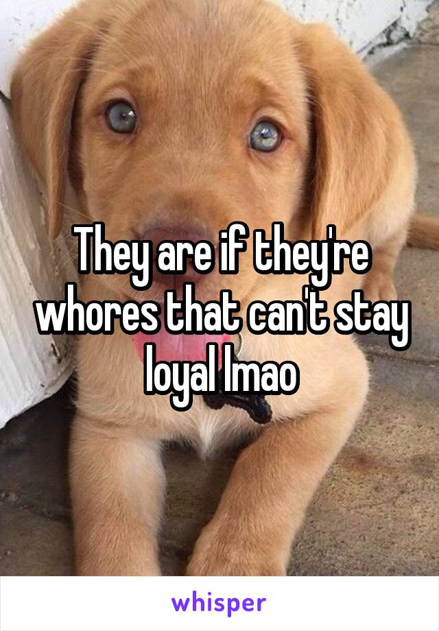 They are if they're whores that can't stay loyal lmao