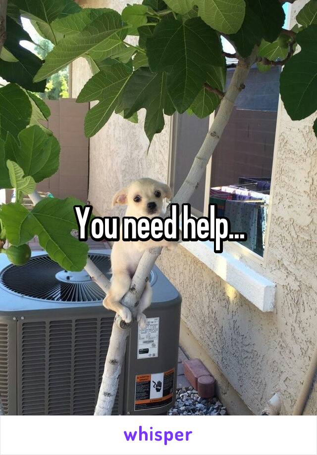 You need help...