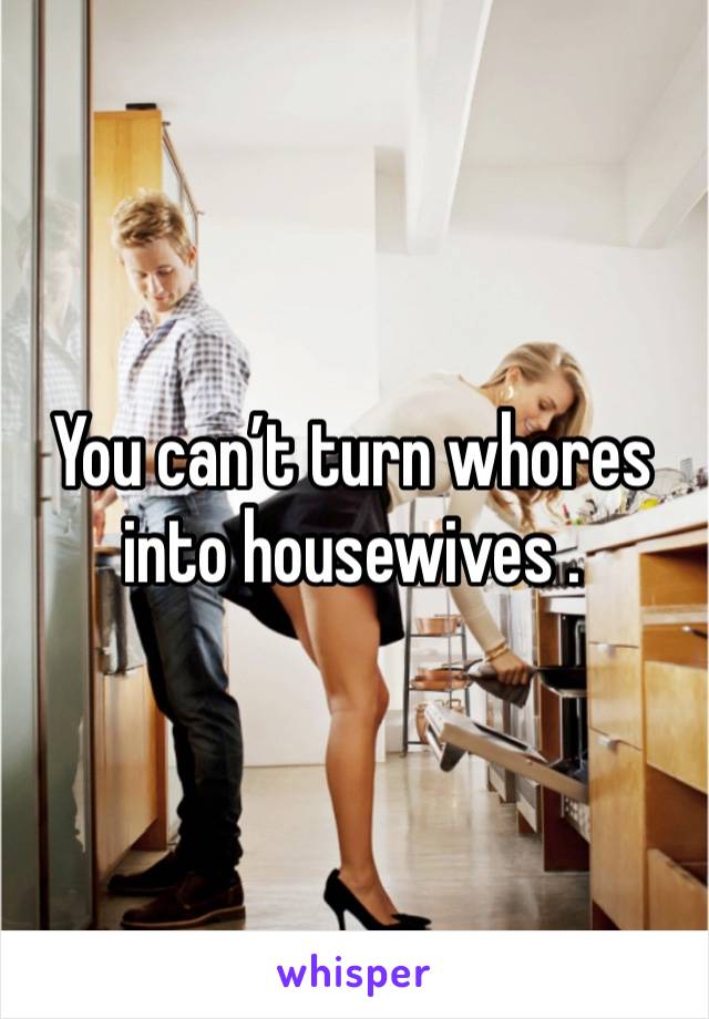 You can’t turn whores into housewives . 