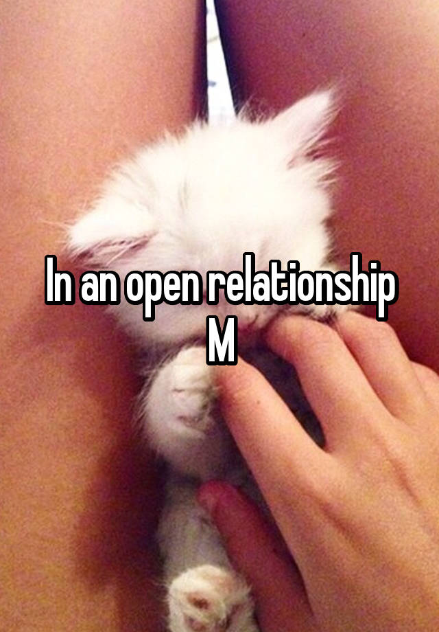 In an open relationship
M