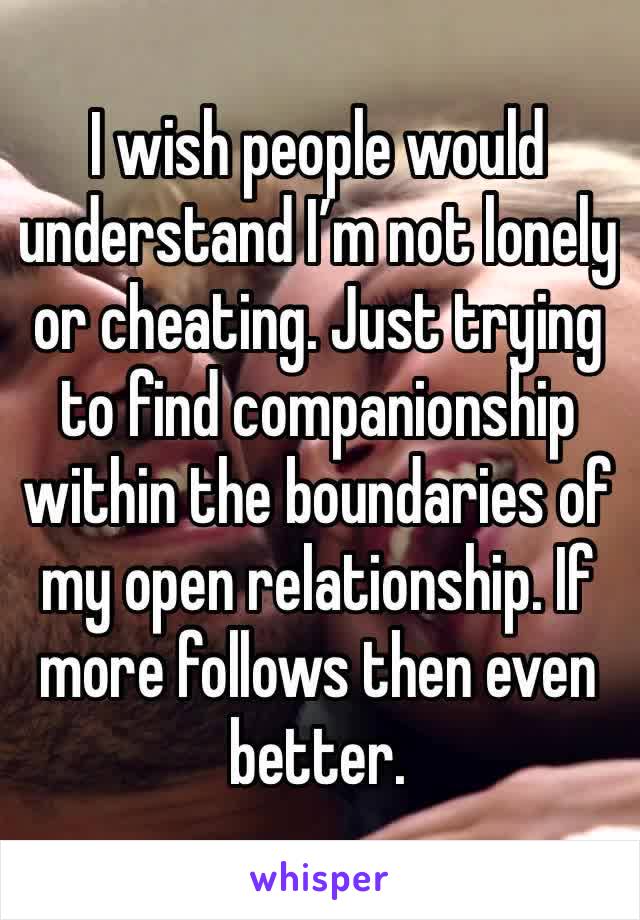 I wish people would understand I’m not lonely or cheating. Just trying to find companionship within the boundaries of my open relationship. If more follows then even better. 