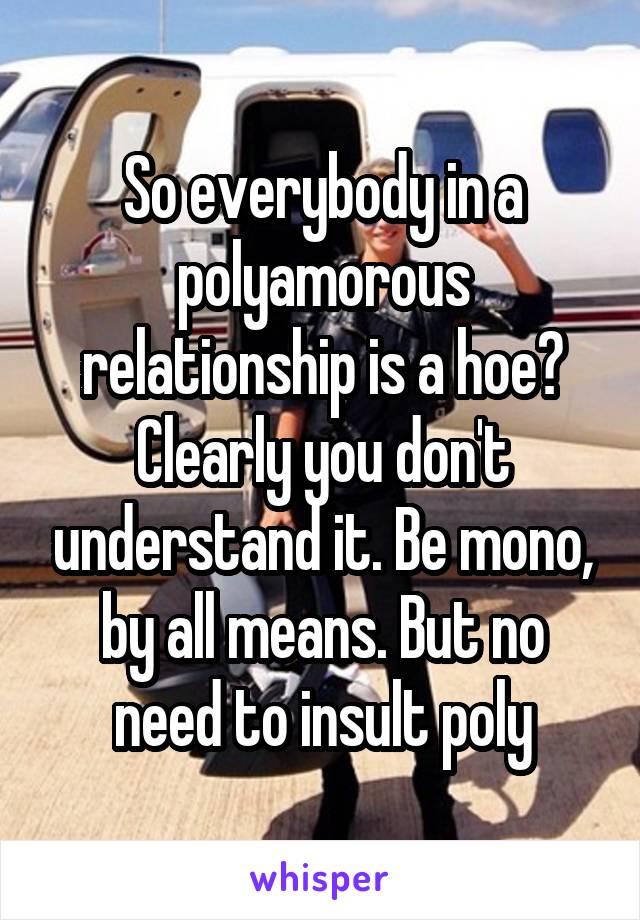 So everybody in a polyamorous relationship is a hoe?
Clearly you don't understand it. Be mono, by all means. But no need to insult poly