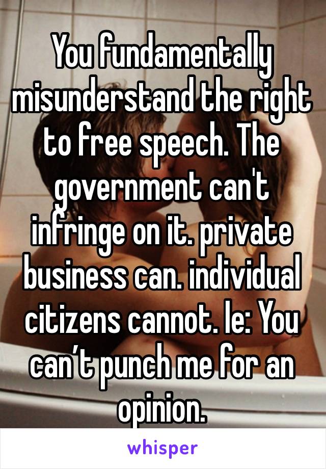 You fundamentally misunderstand the right to free speech. The government can't infringe on it. private business can. individual citizens cannot. Ie: You can’t punch me for an opinion.