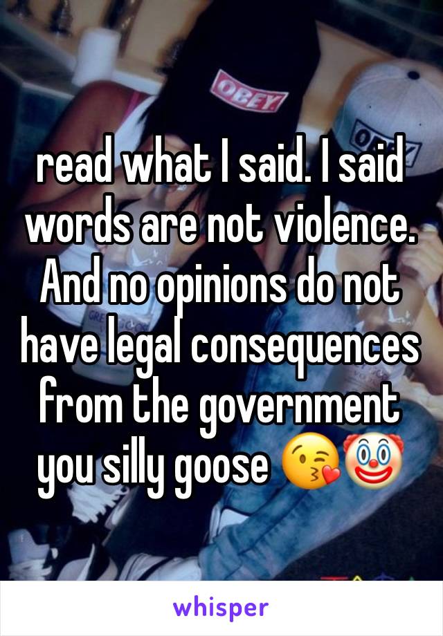 read what I said. I said words are not violence. And no opinions do not have legal consequences from the government you silly goose 😘🤡