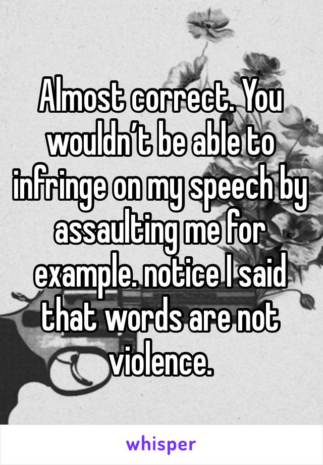 Almost correct. You wouldn’t be able to infringe on my speech by assaulting me for example. notice I said that words are not violence. 