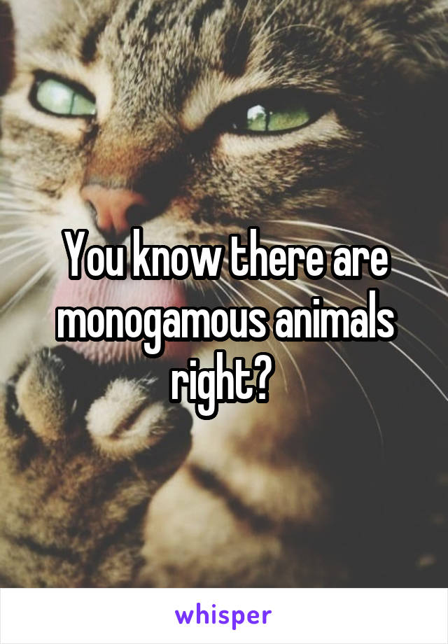 You know there are monogamous animals right? 