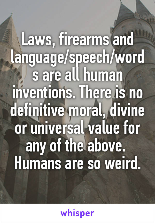 Laws, firearms and language/speech/words are all human inventions. There is no definitive moral, divine or universal value for any of the above. 
Humans are so weird. 