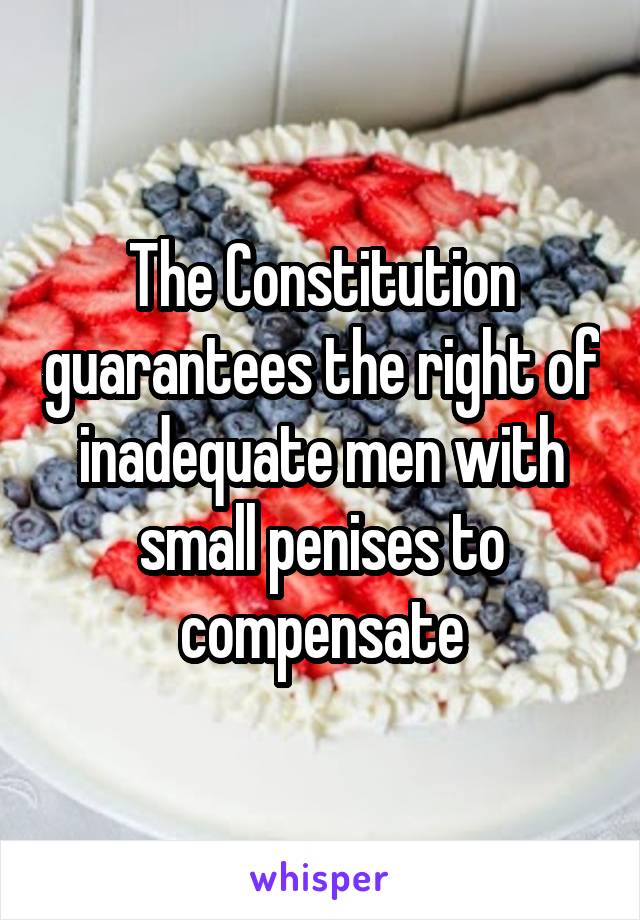 The Constitution guarantees the right of inadequate men with small penises to compensate