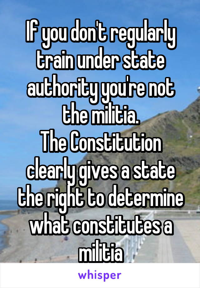 If you don't regularly train under state authority you're not the militia.
The Constitution clearly gives a state the right to determine what constitutes a militia