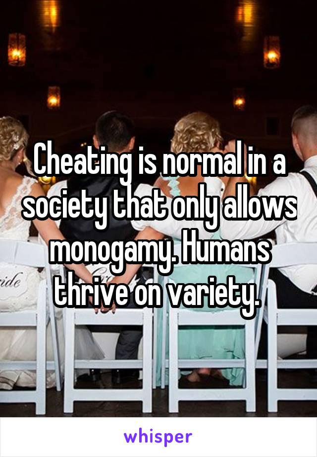 Cheating is normal in a society that only allows monogamy. Humans thrive on variety. 