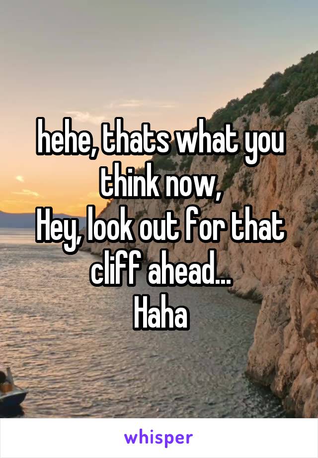 hehe, thats what you think now,
Hey, look out for that cliff ahead...
Haha