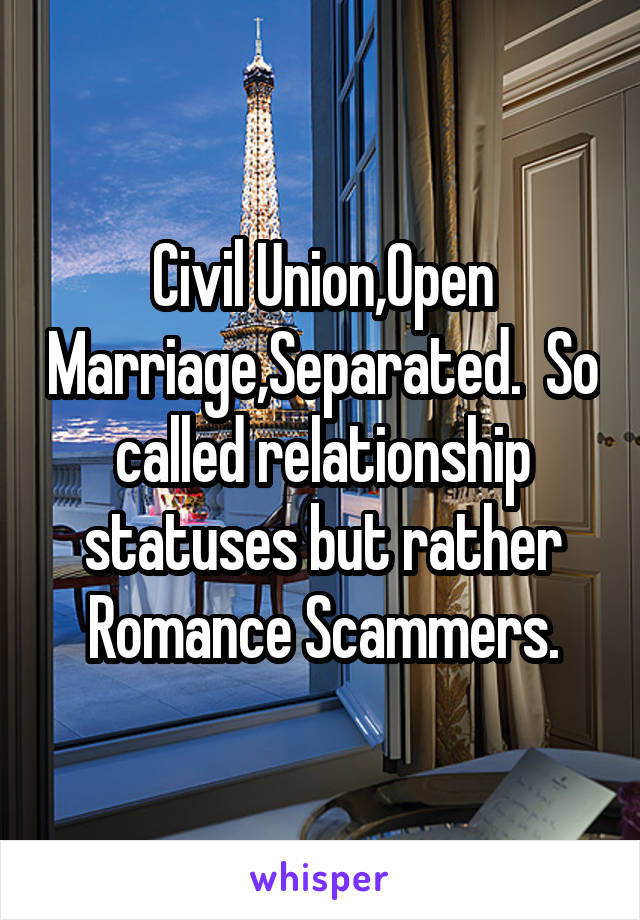 Civil Union,Open Marriage,Separated.  So called relationship statuses but rather Romance Scammers.