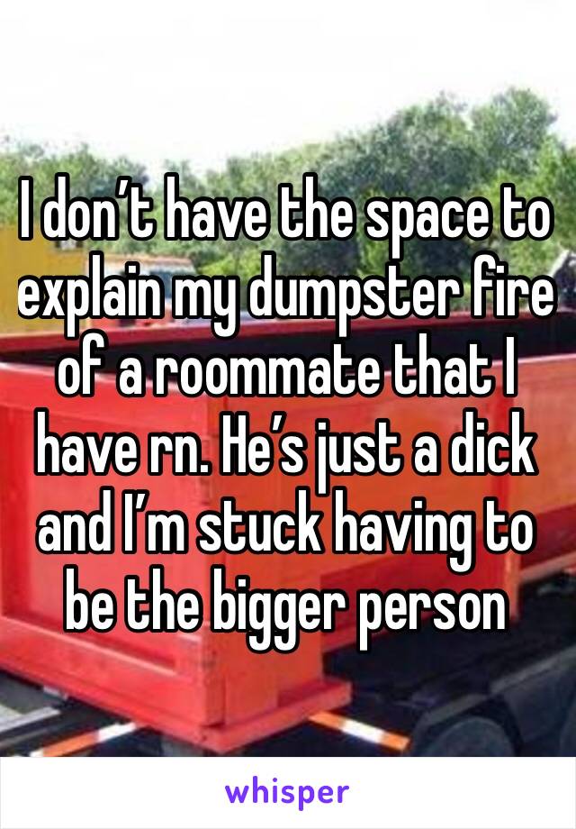 I don’t have the space to explain my dumpster fire of a roommate that I have rn. He’s just a dick and I’m stuck having to be the bigger person 