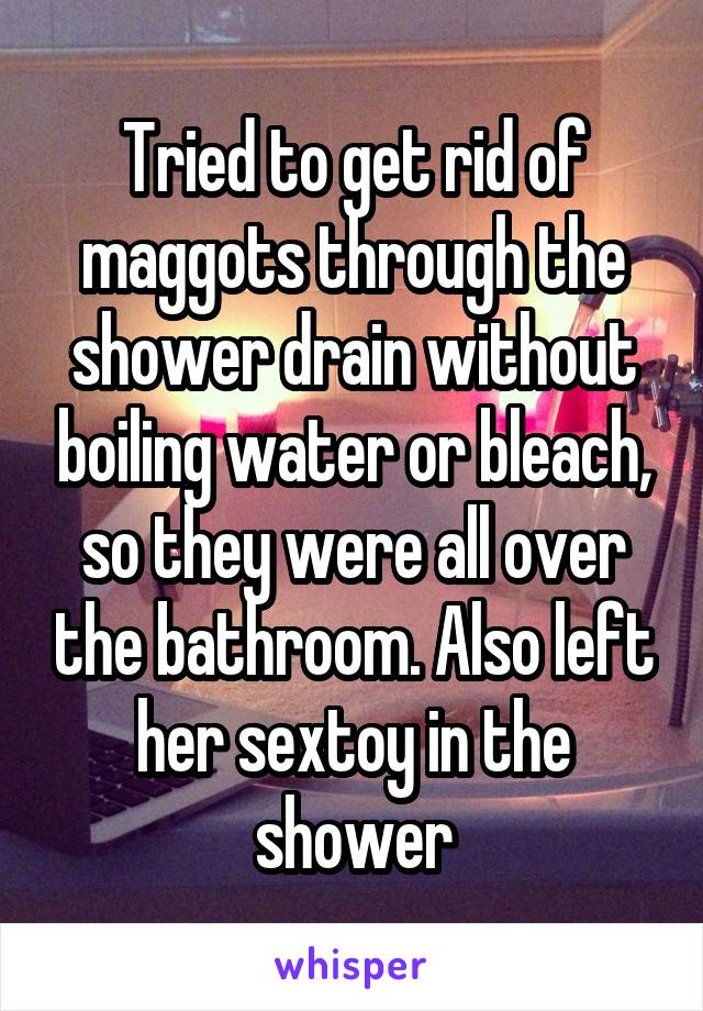 Tried to get rid of maggots through the shower drain without boiling water or bleach, so they were all over the bathroom. Also left her sextoy in the shower