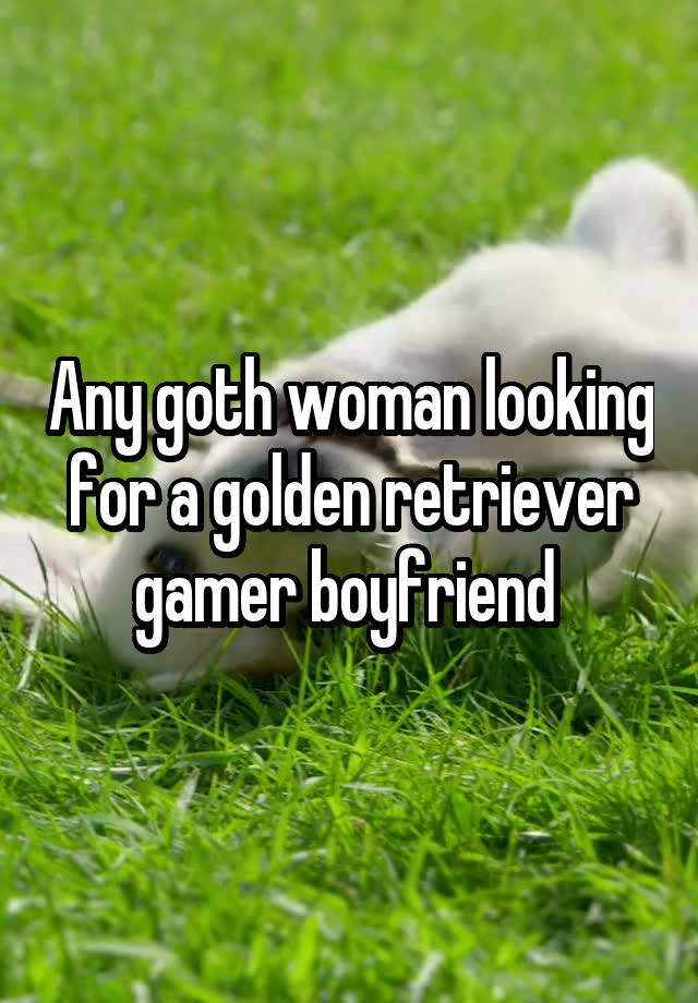 Any goth woman looking for a golden retriever gamer boyfriend 