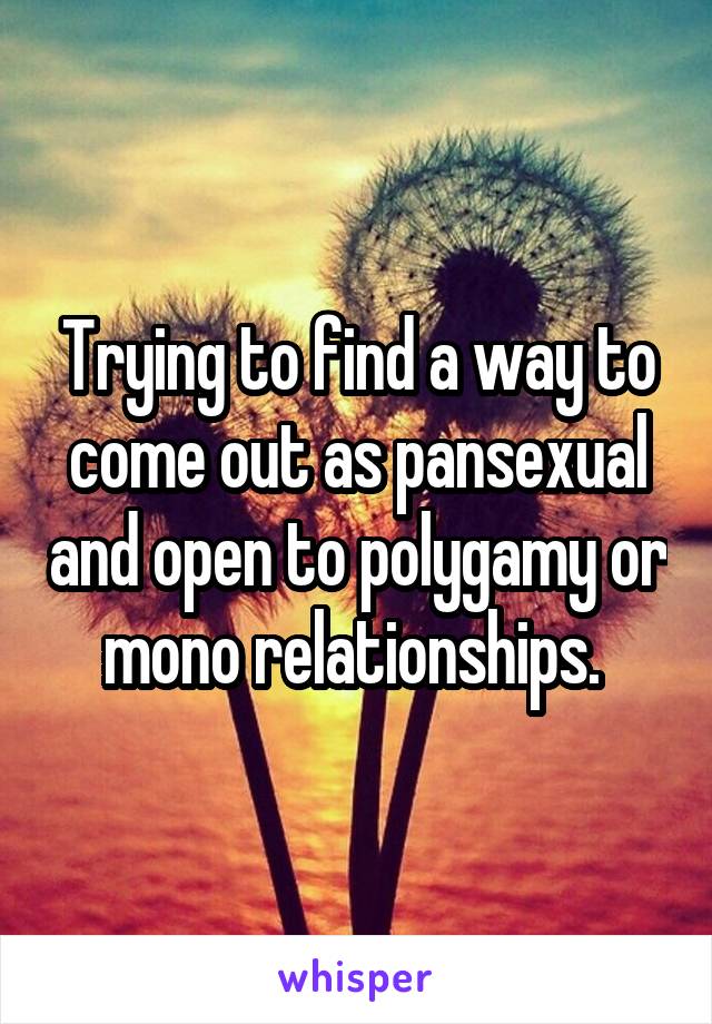 Trying to find a way to come out as pansexual and open to polygamy or mono relationships. 