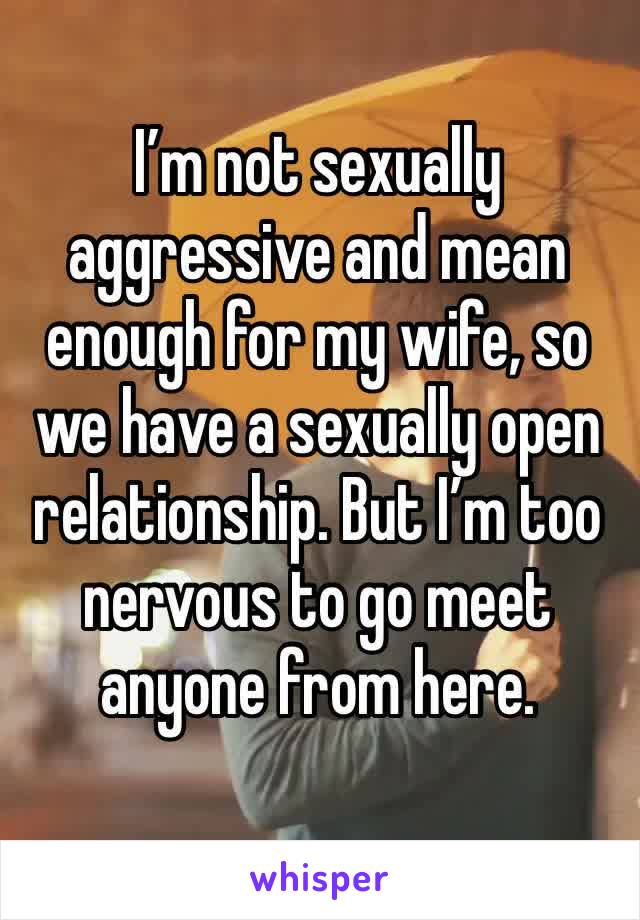 
I’m not sexually aggressive and mean enough for my wife, so we have a sexually open relationship. But I’m too nervous to go meet anyone from here. 