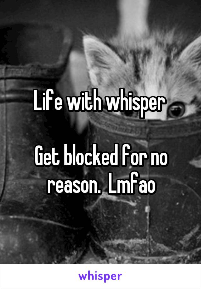 Life with whisper 

Get blocked for no reason.  Lmfao