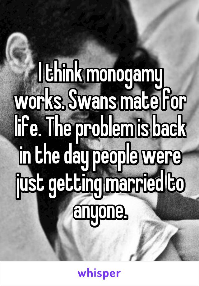 I think monogamy works. Swans mate for life. The problem is back in the day people were just getting married to anyone.