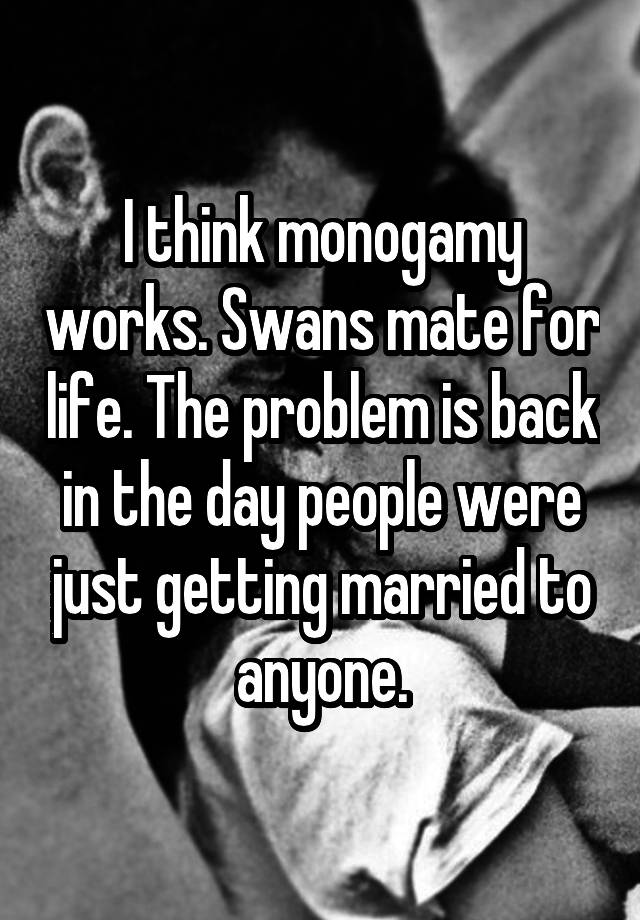 I think monogamy works. Swans mate for life. The problem is back in the day people were just getting married to anyone.