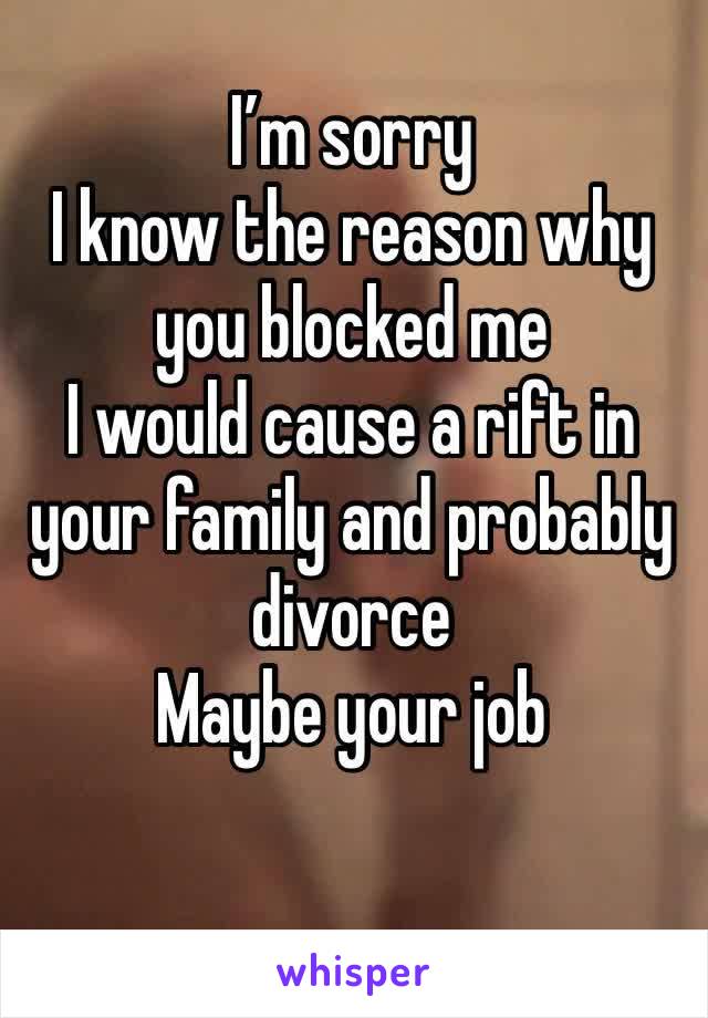 I’m sorry 
I know the reason why you blocked me 
I would cause a rift in your family and probably divorce 
Maybe your job 