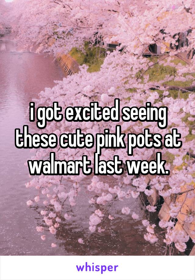 i got excited seeing these cute pink pots at walmart last week.