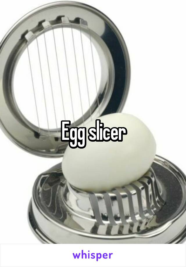 Egg slicer