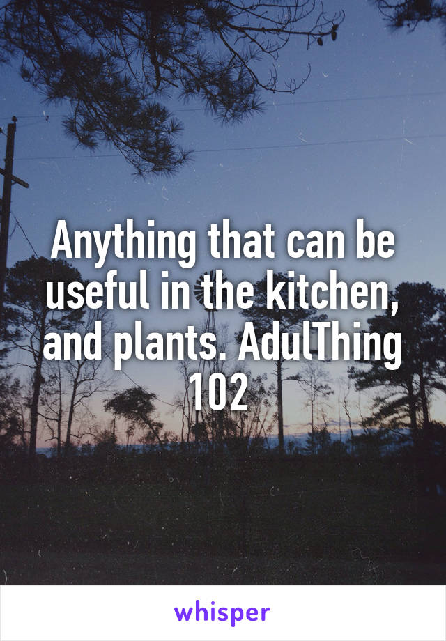 Anything that can be useful in the kitchen, and plants. AdulThing 102 